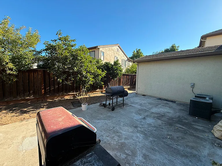 Back yard
