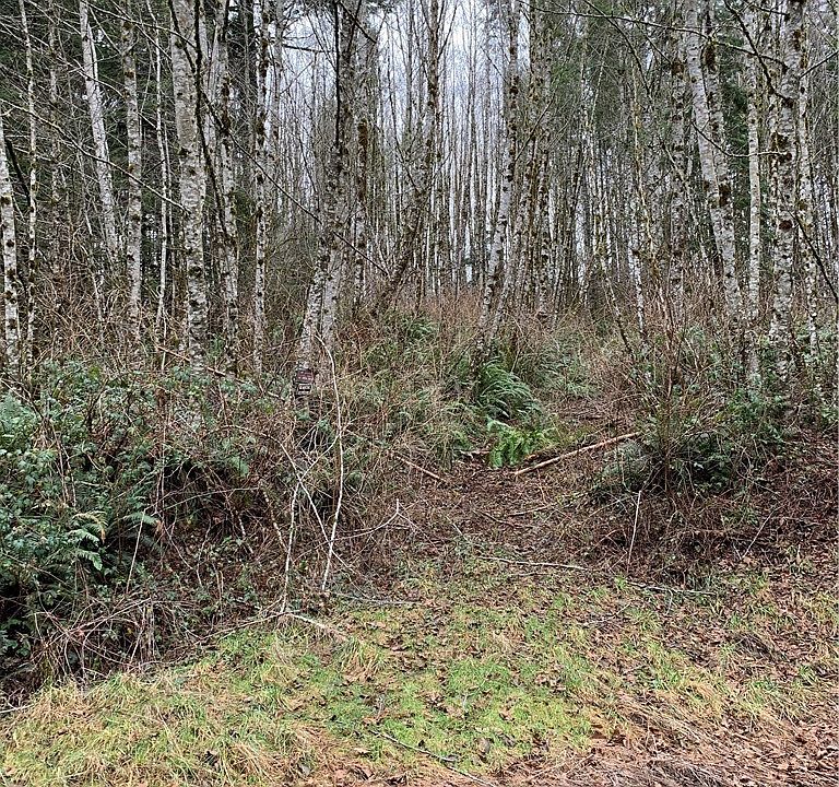 2nd image of 0 Italian Creek Rd