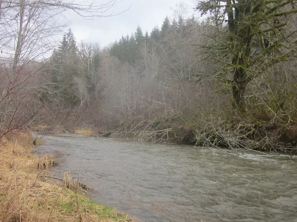 691 State Route 7, Morton, WA 98356