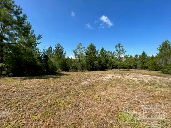 6899 Wolf Log Rd, Flomaton, AL 36441