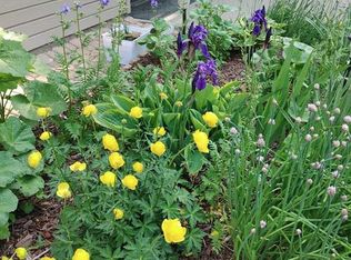 141 N Cedar Springs Gdns SW, Calgary, AB T2W5J9