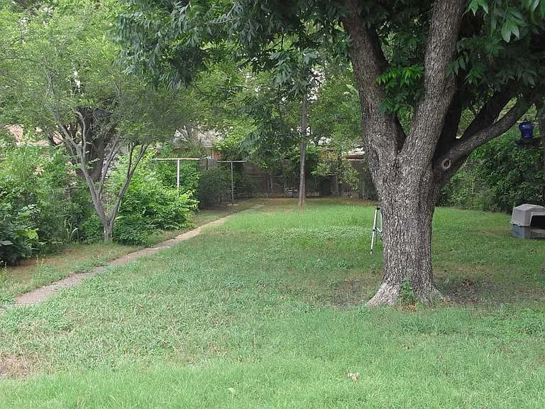 Huge BackYard