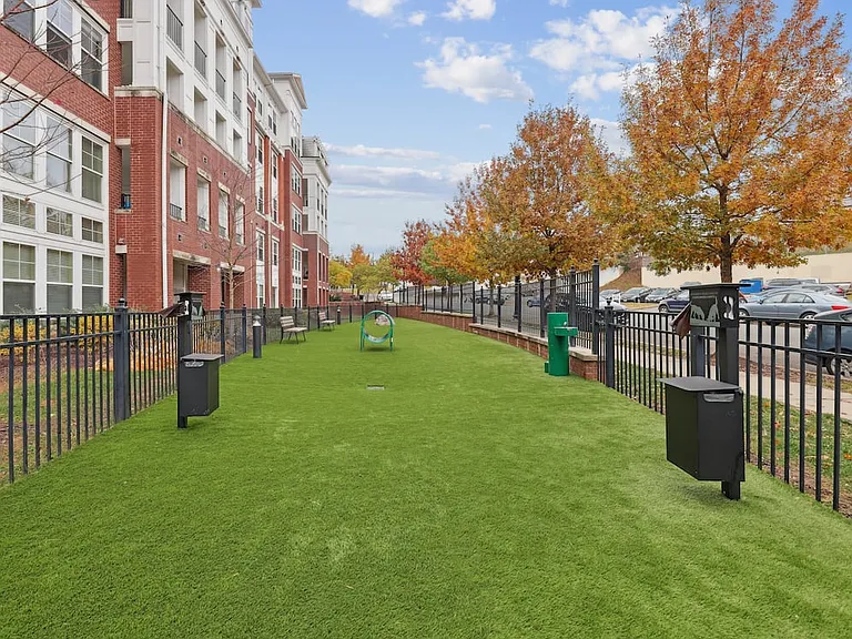 WAG pet park