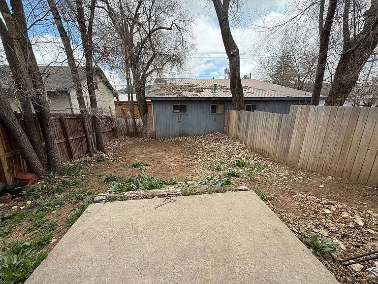 Back Yard