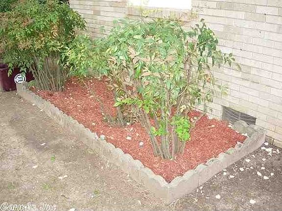 Flower Bed