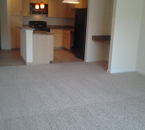 5th image of 1531 W Lemon St APT 6212