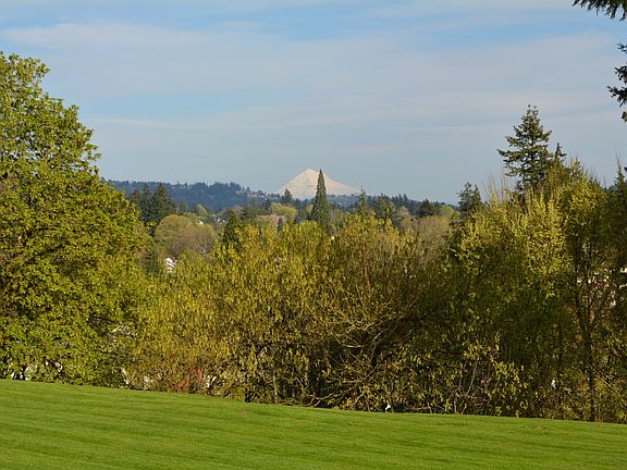View from the Waverley Hall lawn area