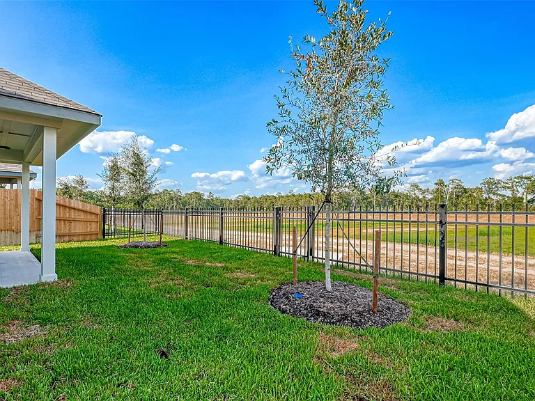 3106 Rising Fir Ln — Photo 32