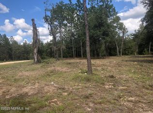 173 E WASHINGTON Street, Hawthorne, FL 32640