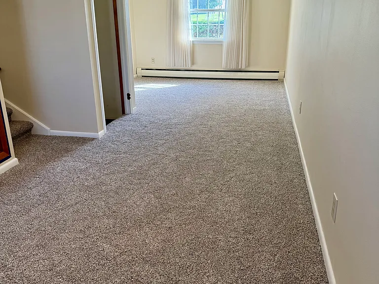 517 Evergreen Dr — Photo 5