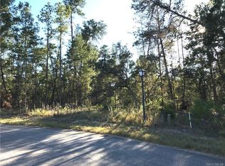 19 Gerbera Ct, Homosassa, FL 34446