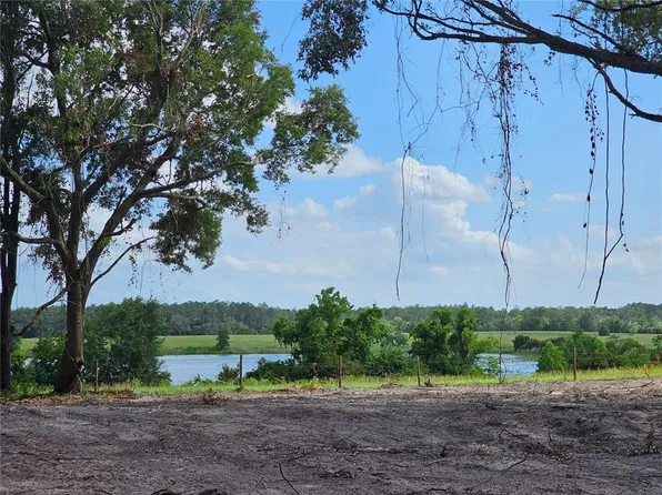TBD SE 166 AVE LOT 17, OCKLAWAHA, FL 32179