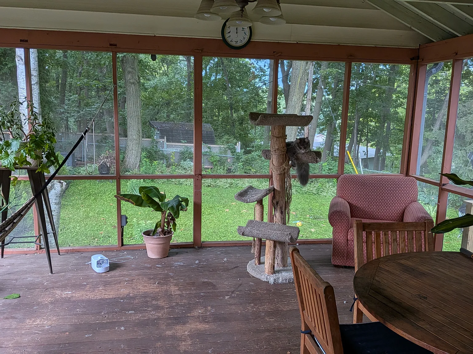 4 bed, 1780 sqft, $3,800 — Photo 4