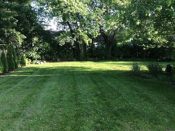 Privacy in back yard