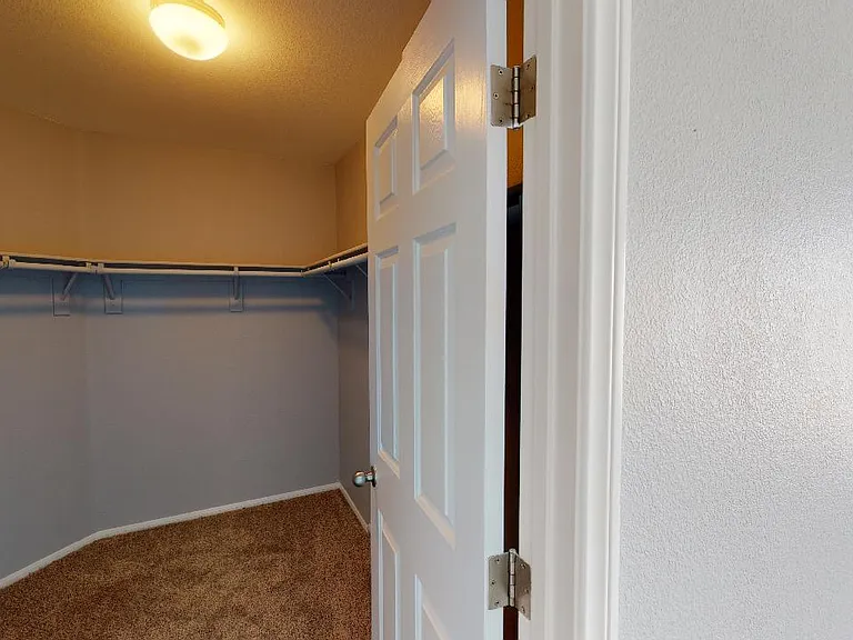 5046 Flore Del Sol St — Photo 23