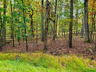 352 Timber Ridge Dr, Hawley, PA, 18428