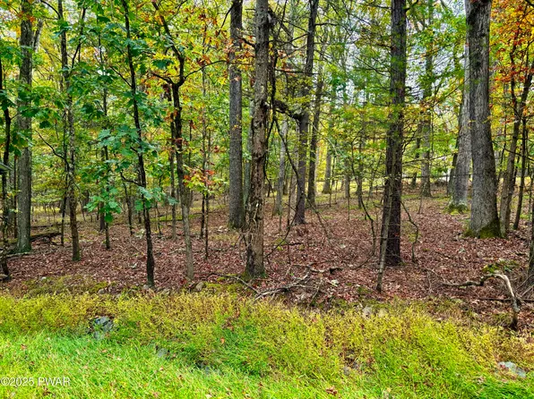 352 Timber Ridge Dr, Hawley, PA 18428