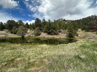 2332 County Rd, Florissant, CO 80816