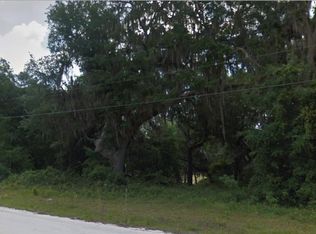 SE 178th Ave LOT 2, Silver Springs, FL 34488