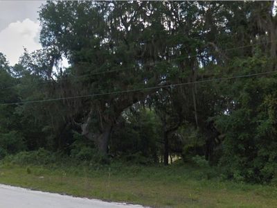 SE 178th Ave Lot 2, Silver Springs, FL, 34488
