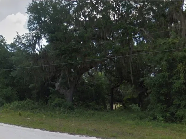SE 178th Ave Lot 2, Silver Springs, FL 34488