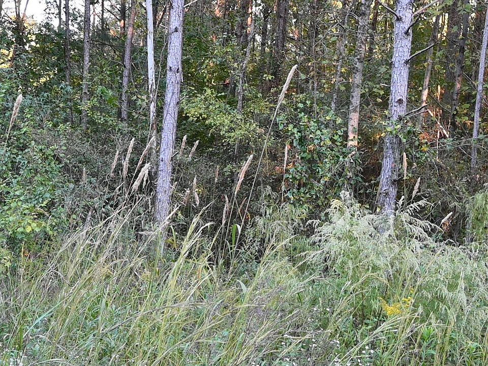 2nd image of 0 Willowbrook Ct Lot 21