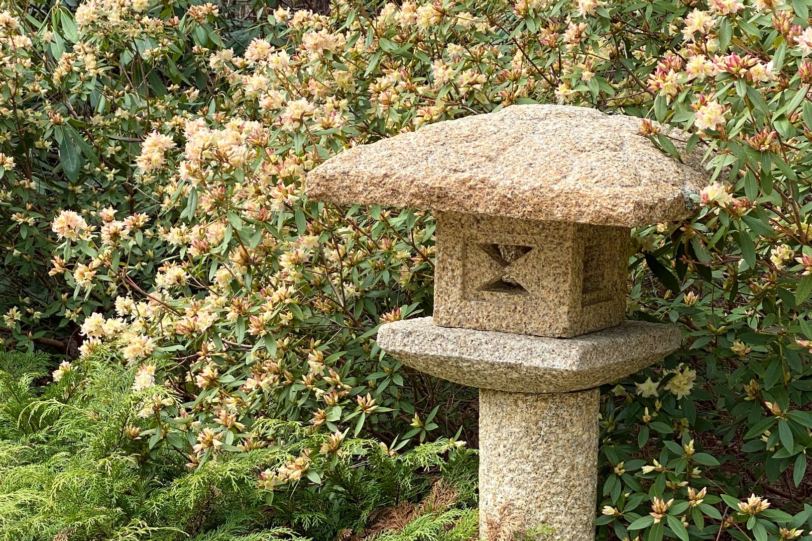  Zen-like Gardens