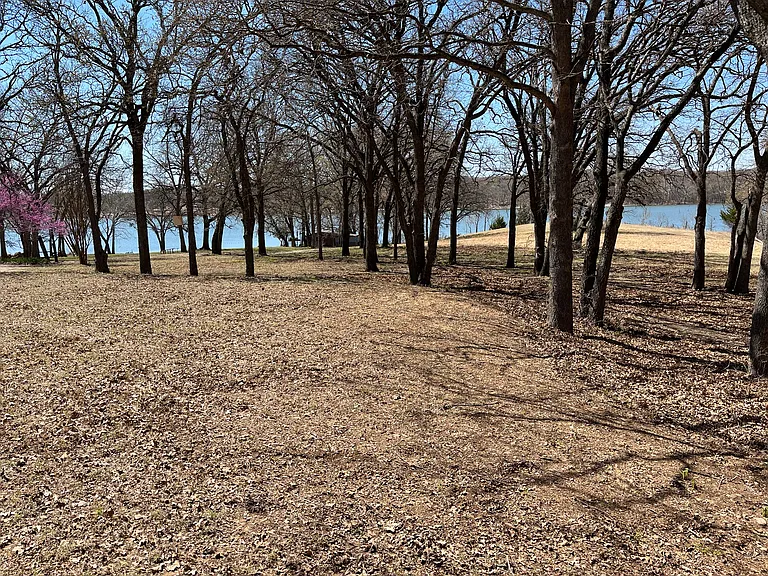 293 Harrell Rd — Photo 16