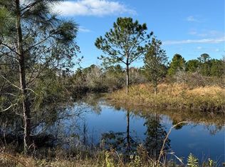 1686 Oak View Farms Rd LOT 330, Osteen, FL 32764