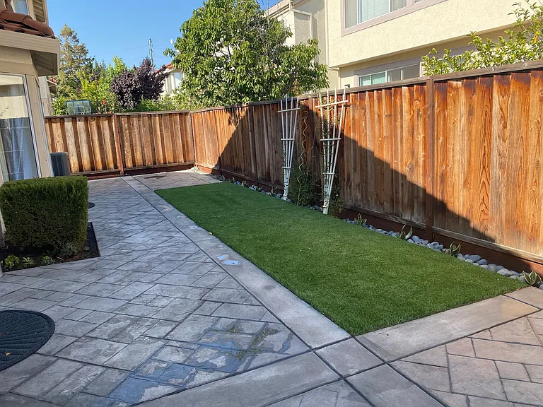 Backyard
