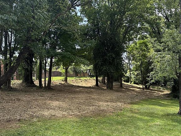 5th image of 0 SW Lot #10