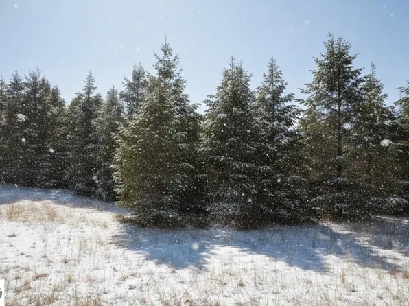 5 Spruce Hollow Trce, Fife Lake, MI 49633