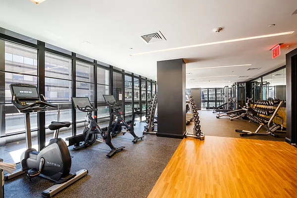 Rented by MNS | media 35