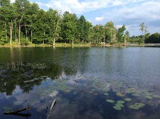 195 Maple Landing Rd, Altmar, NY 13302