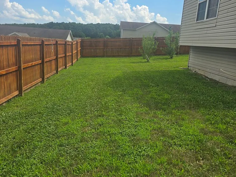 161 Lyle Curtis Cir — Photo 37