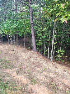 1321 Ron Whicker Dr, Catawba, NC, 28609