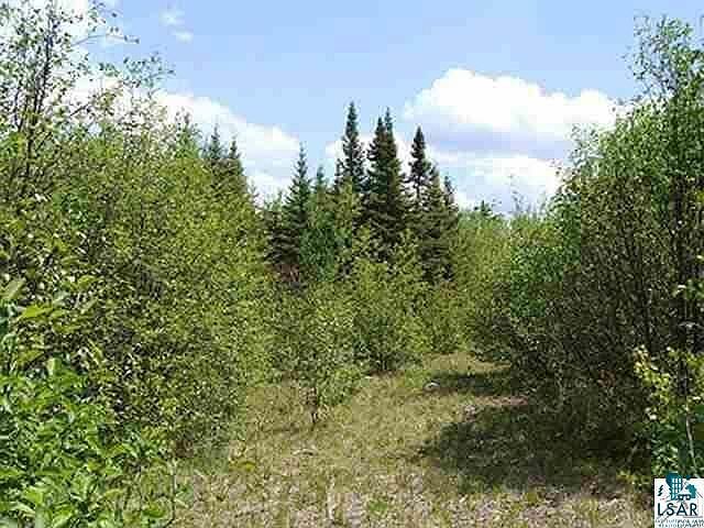 1st image of - Forest Rd 409