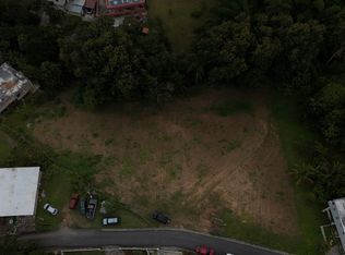 Sector Morrilo Carr 171 Km 7.2 Bo Rincon, Cayey, PR 00737