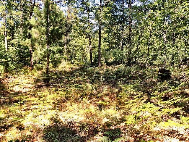 2nd image of 10138 Point O Pines Rd