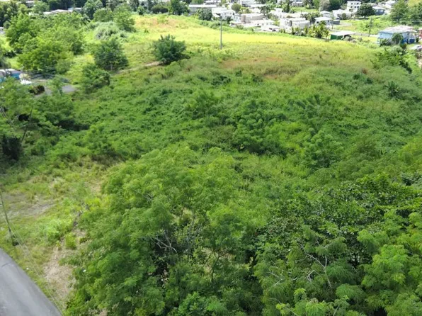 Carr 109 Km 5.4 Int Sector El Acueductos Bo Espino, Anasco, PR 00610