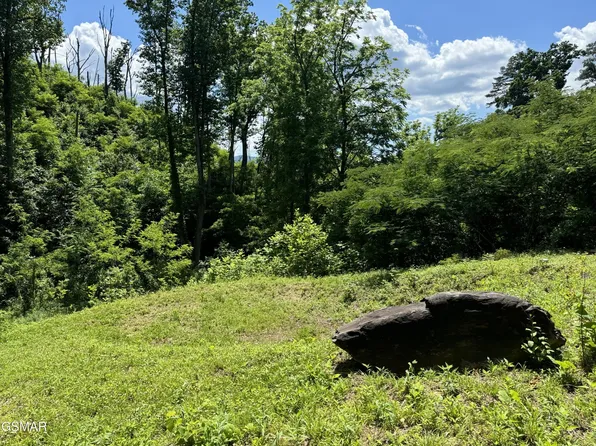 1113 Hemlock Hollow Rd Lot 22, Gatlinburg, TN 37738