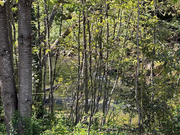 view/sound of the creek from your deck
