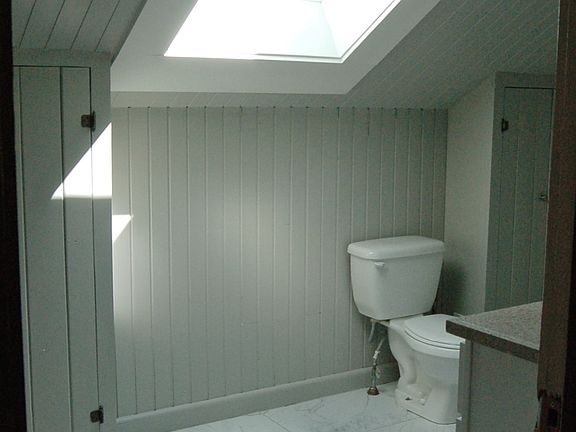 Sky light in remodeled bathroom