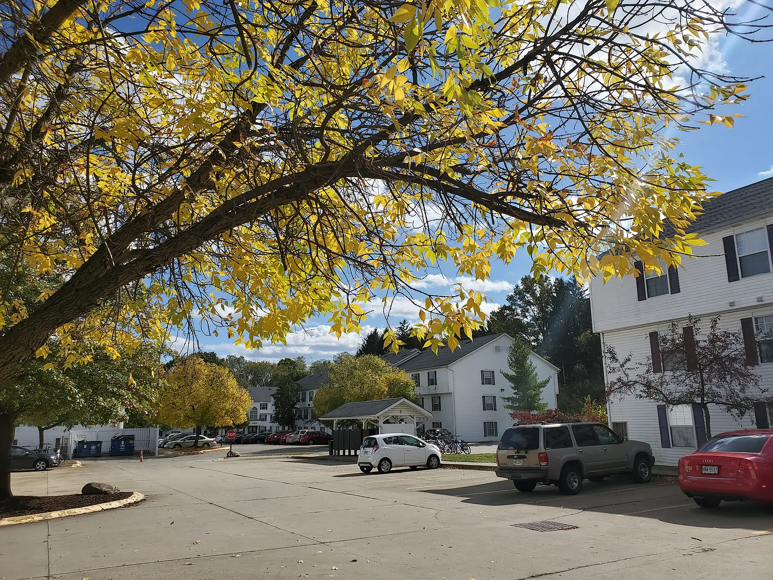 Holly Park Apartments — Photo 2