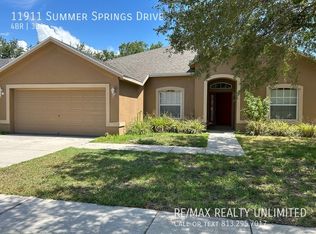 11911 Summer Springs Dr, Riverview, FL 33579