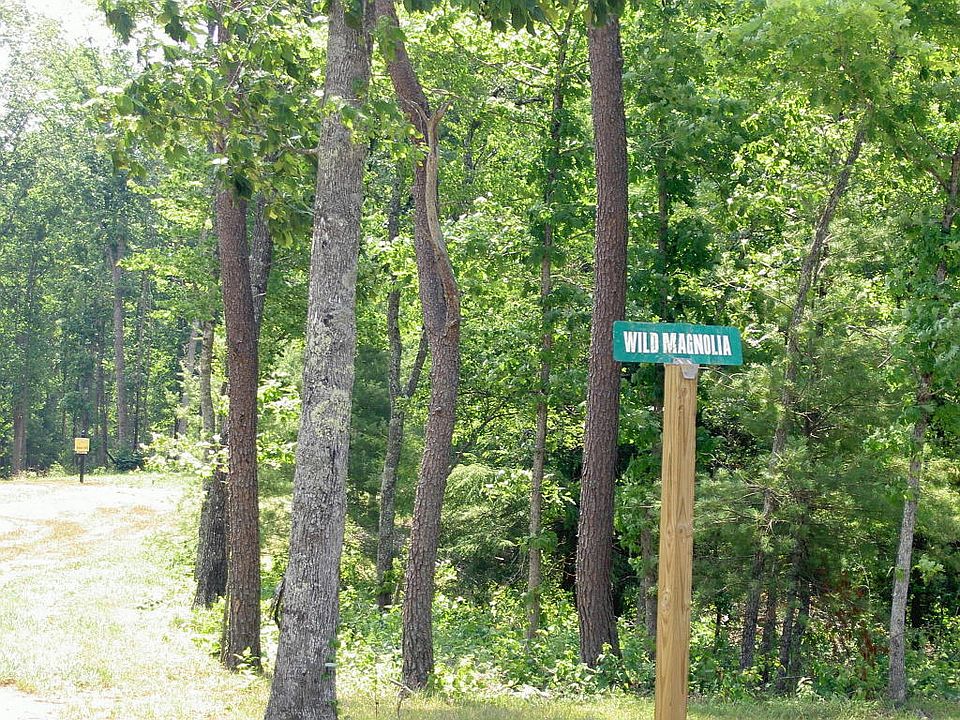 2nd image of Wild Magnolia
