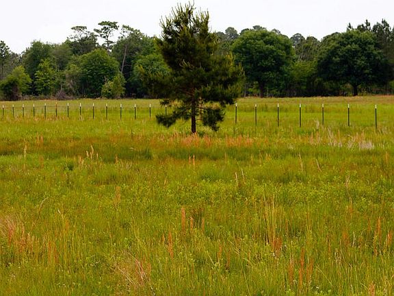 Buildable acreage for sale in Florida