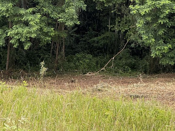 5th image of 0 Mallard Rd Lot 84C