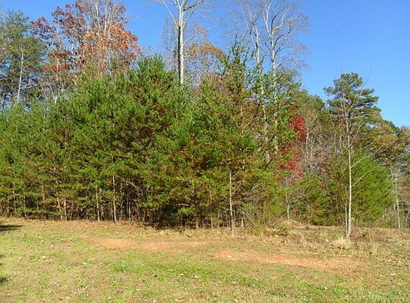 2nd image of 1413 Glazenwood Dr