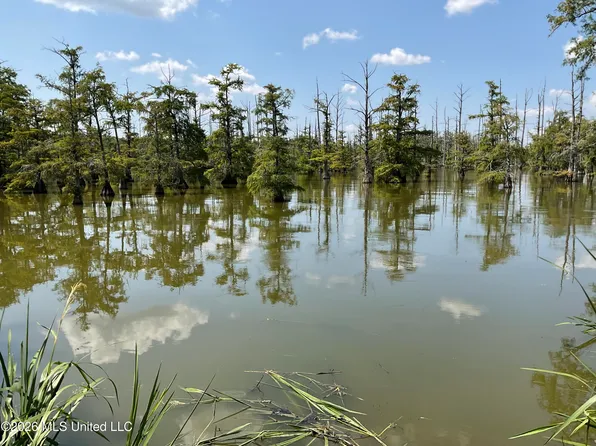 314 Lake Washington Rd E, Glen Allan, MS 38744